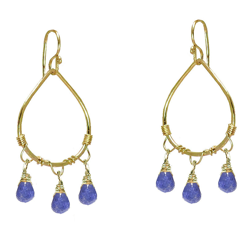 Hammered Drop Hoops with Tanzanite - ClickThatClicks 