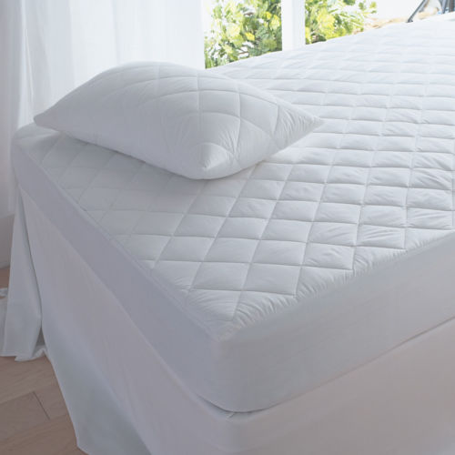 Cotton Filled Quilted Mattress Protector - ClickThatClicks 